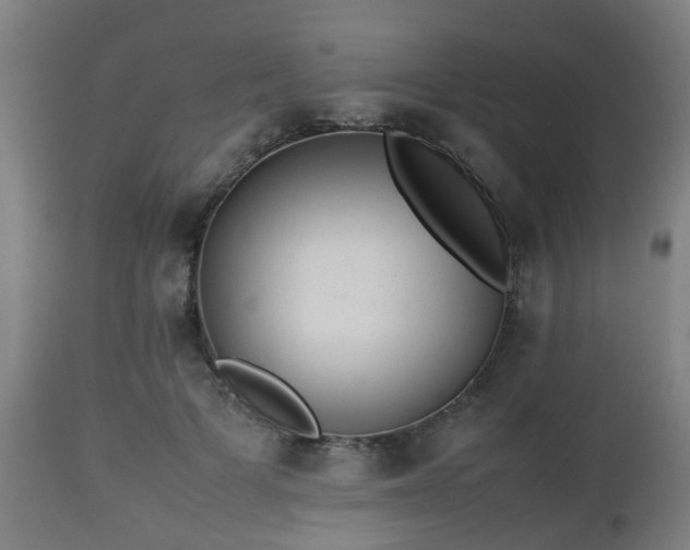 X0000112490697200908241326