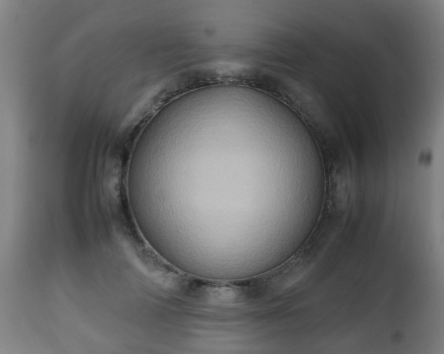 X0000112490698200908241326