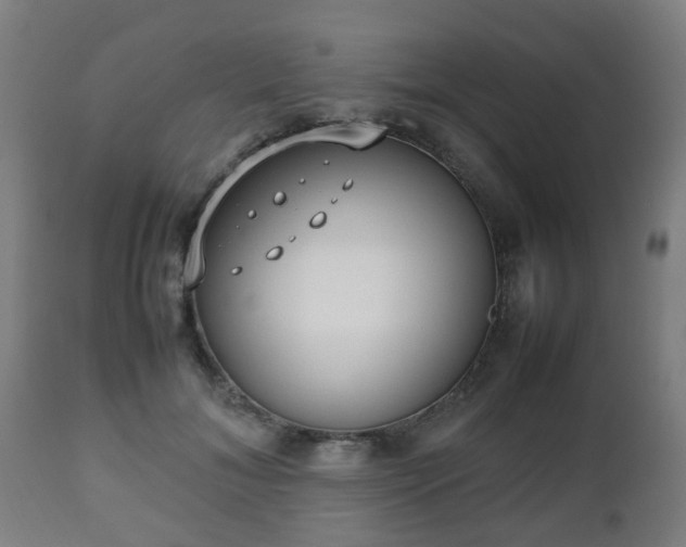 X0000112490700200908241326