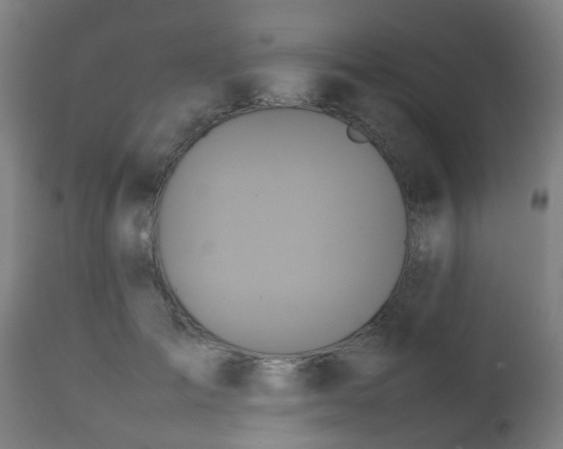 X0000112490701200908241326