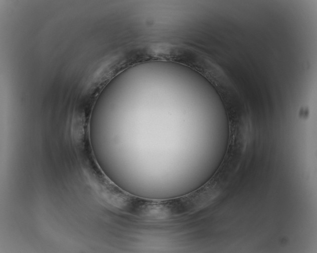 X0000112490702200908241326