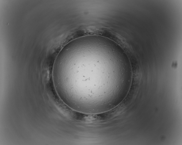 X0000112490703200908241326