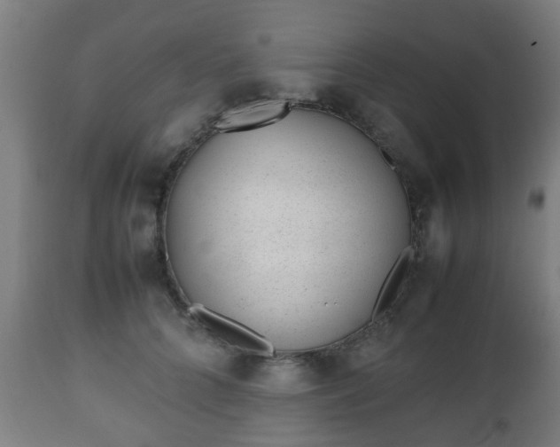 X0000112490704200908241326