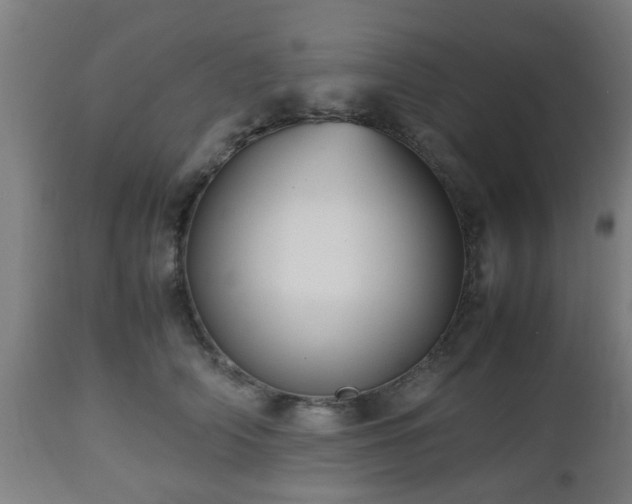 X0000112490706200908241326