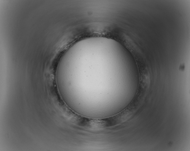 X0000112490707200908241326