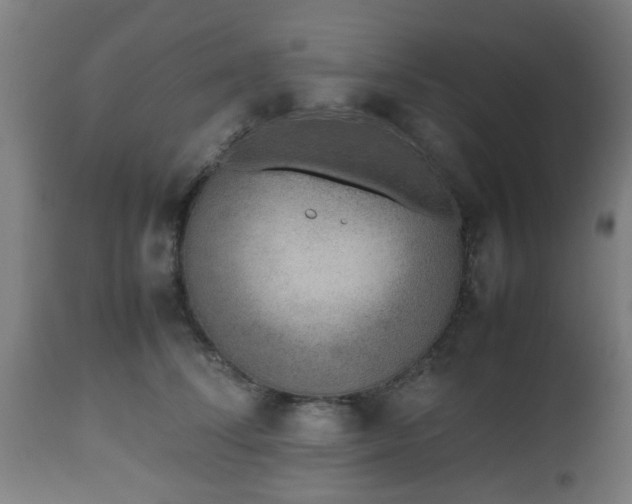 X0000112490708200908241326