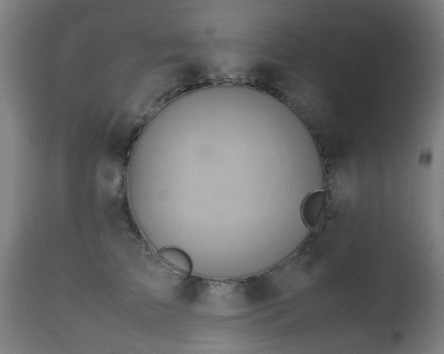 X0000112490709200908241326