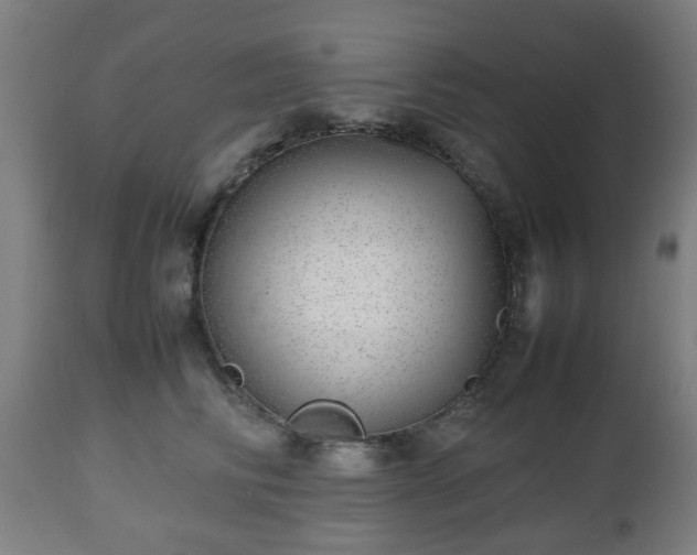 X0000112490710200908241326