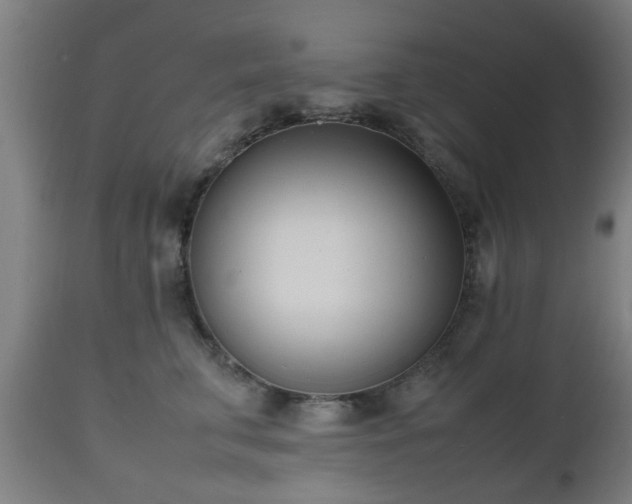 X0000112490711200908241326