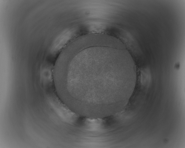 X0000112490712200908241326