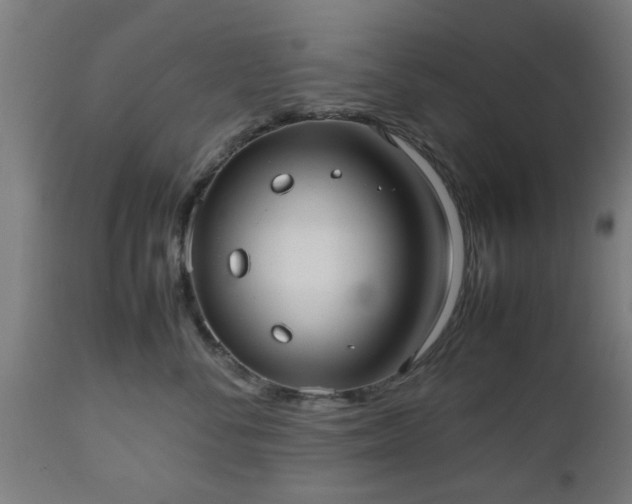 X0000112490716200908241326