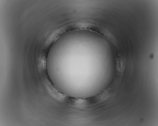 X0000112490718200908241326