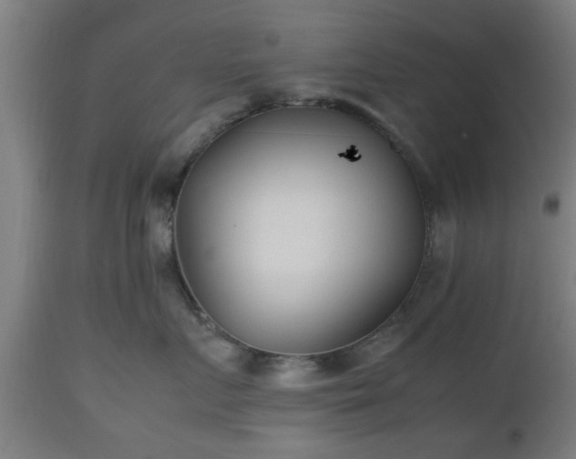 X0000112490719200908241325