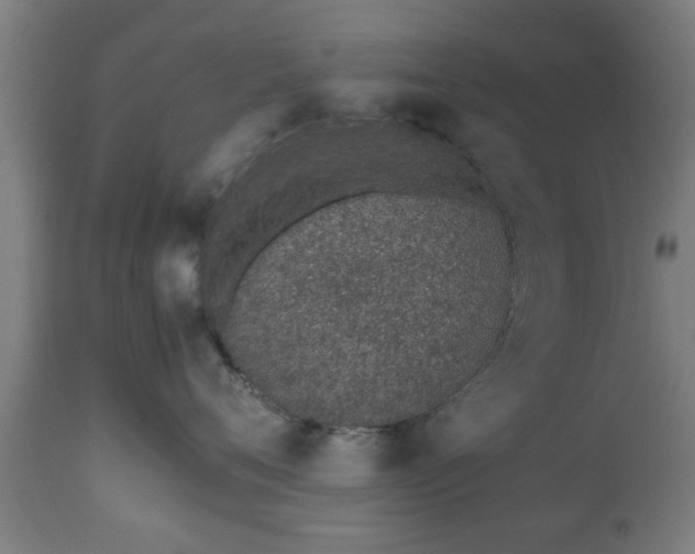 X0000112490720200908241325