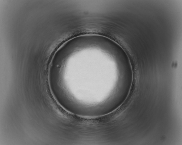 X0000112490721200908241325