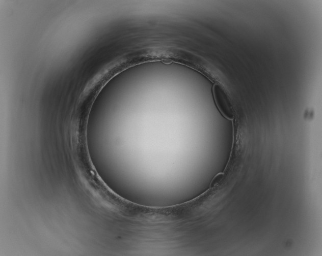 X0000112490722200908241325