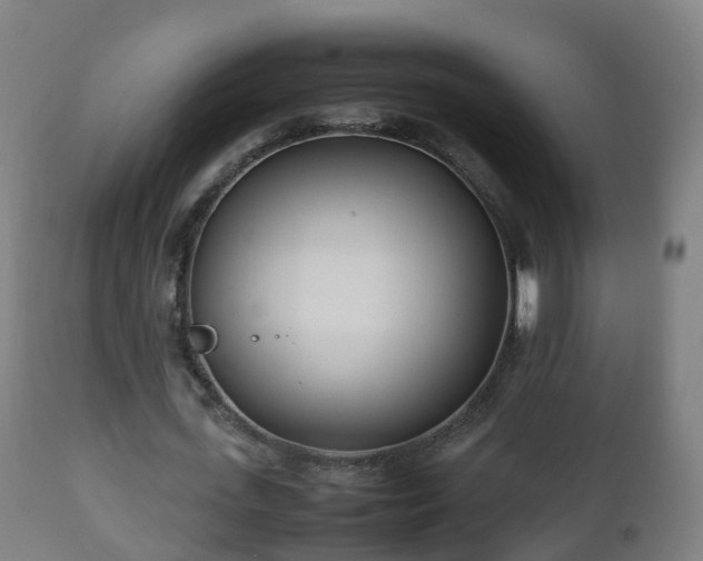 X0000112490723200908241325