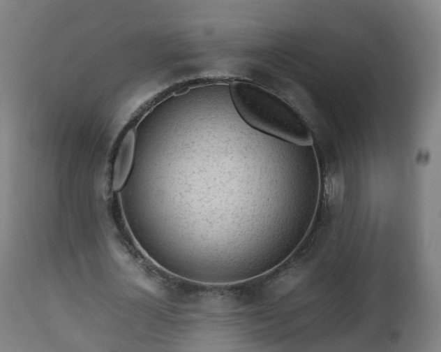 X0000112490724200908241325