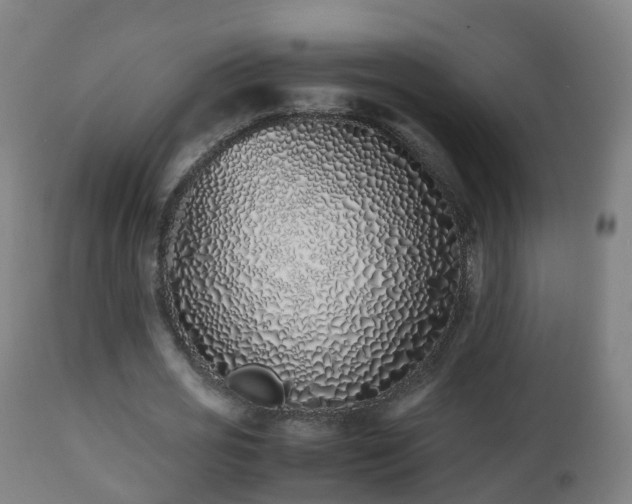 X0000112490725200908241325