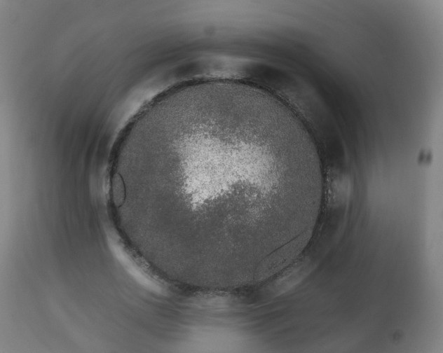 X0000112490726200908241325