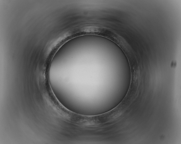 X0000112490727200908241325