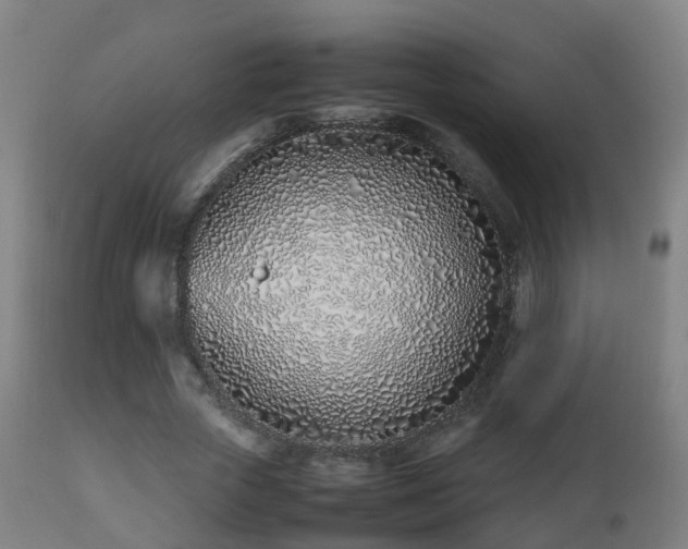 X0000112490729200908241325