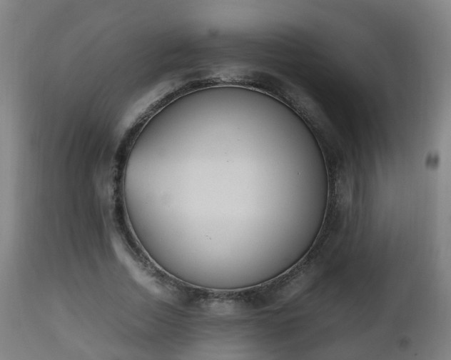 X0000112490730200908241325