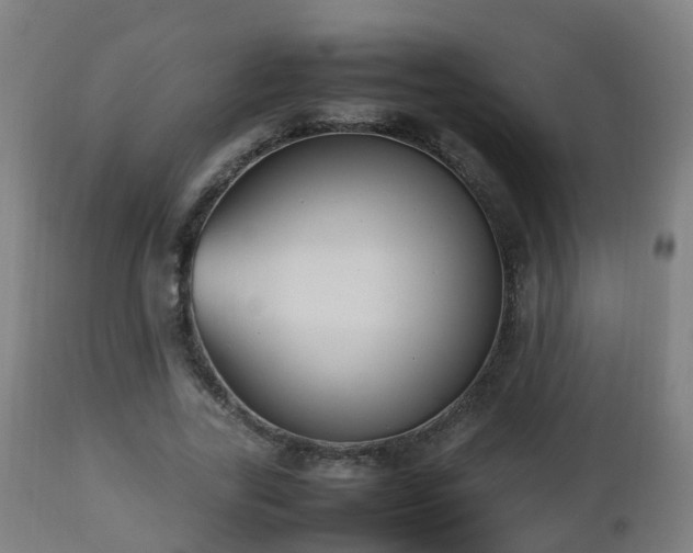 X0000112490731200908241325