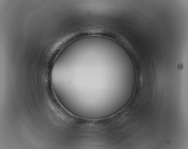 X0000112490732200908241325