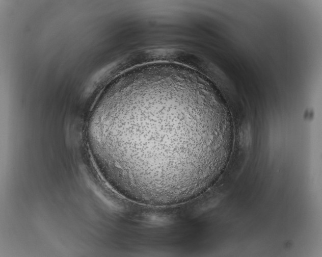 X0000112490733200908241325