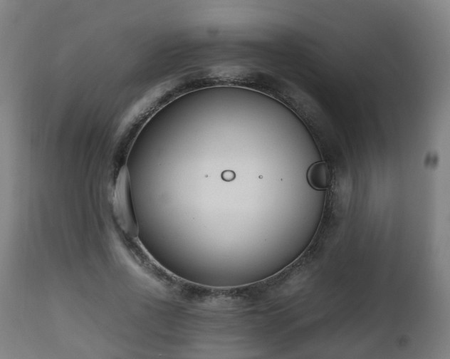 X0000112490734200908241325