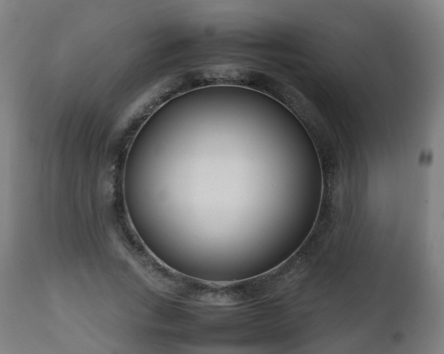 X0000112490735200908241325