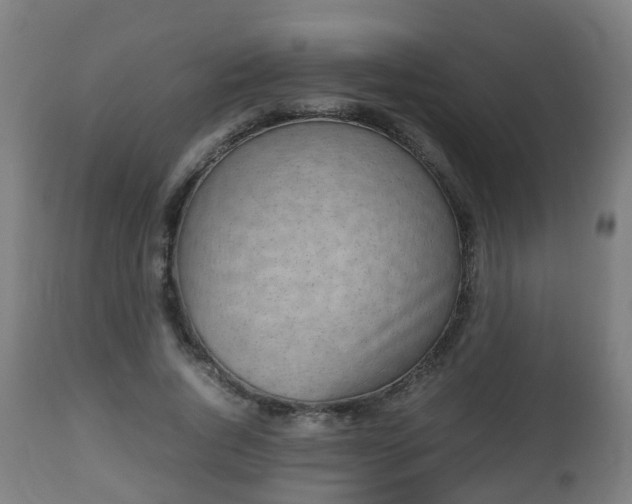 X0000112490736200908241325