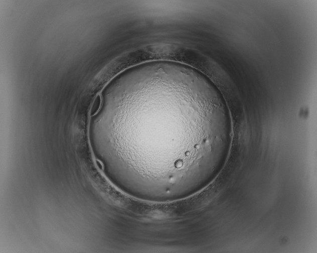 X0000112490737200908241325