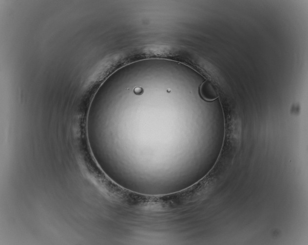 X0000112490738200908241325