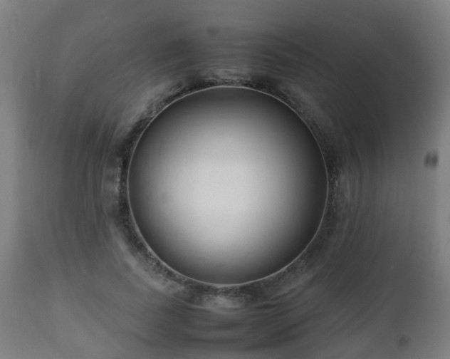 X0000112490739200908241325