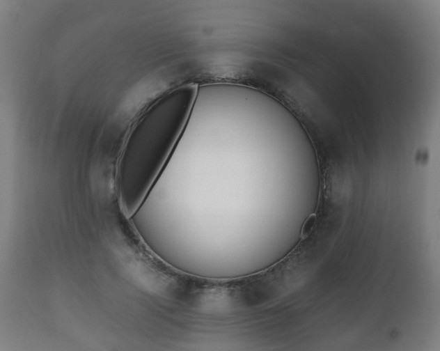 X0000112490740200908241325