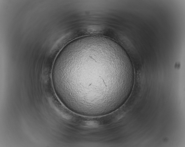 X0000112490741200908241325