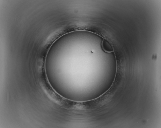 X0000112490742200908241325