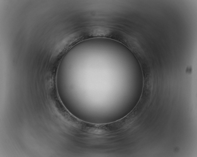 X0000112490743200908241325