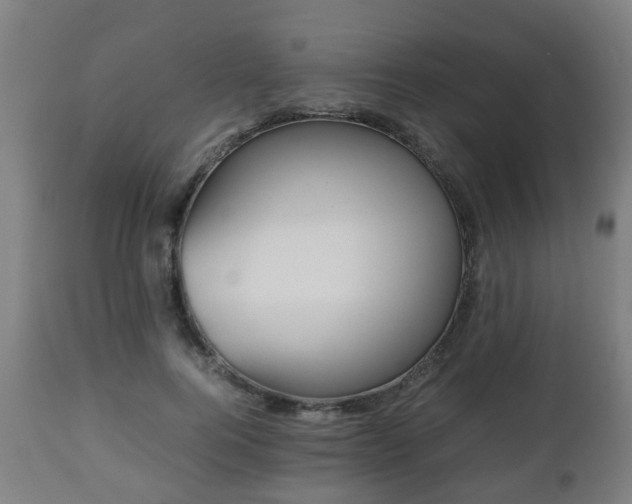 X0000112490744200908241325