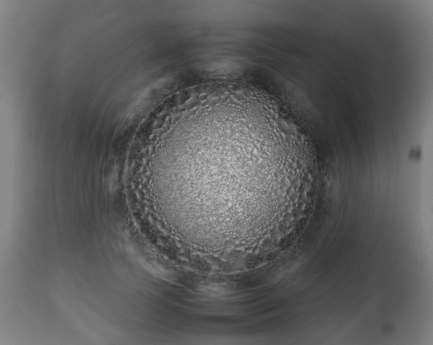 X0000112490745200908241325