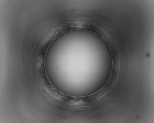 X0000112490747200908241325