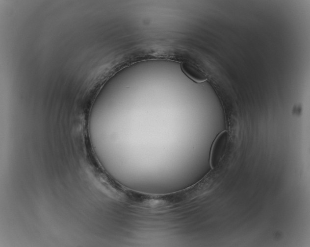 X0000112490748200908241325