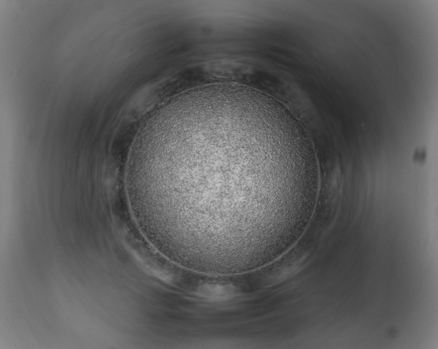 X0000112490749200908241325