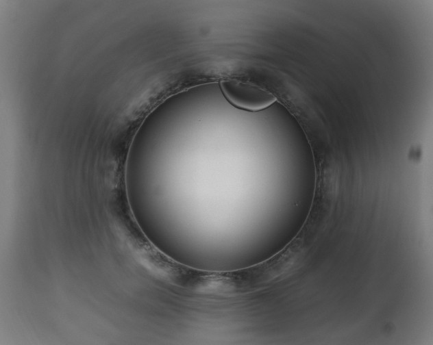 X0000112490750200908241325