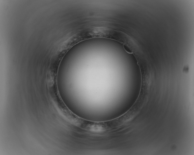 X0000112490751200908241325