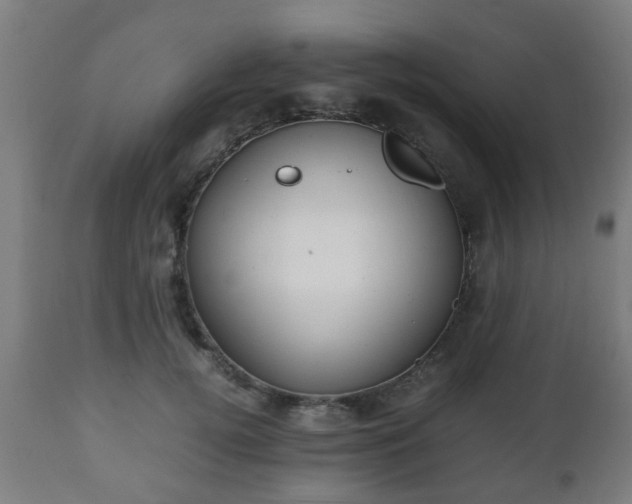 X0000112490752200908241325