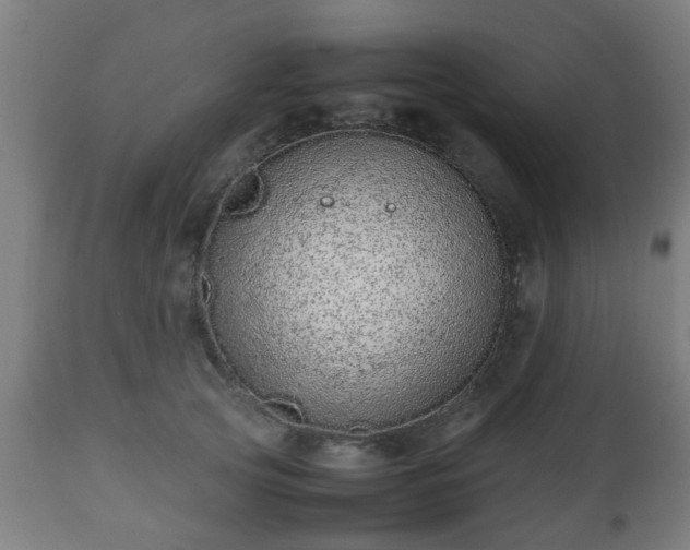 X0000112490753200908241325