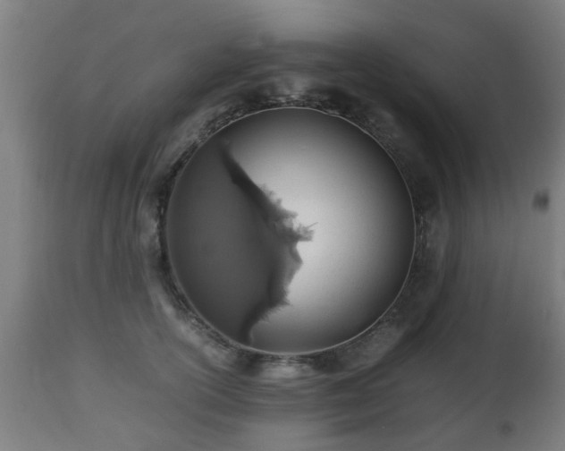 X0000112490754200908241325